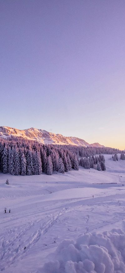 Fond d'écran iPhone Winter Snow Trees 4k