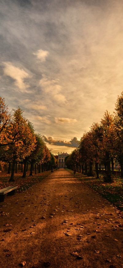 Fond d'écran iPhone Autumn Trees Path