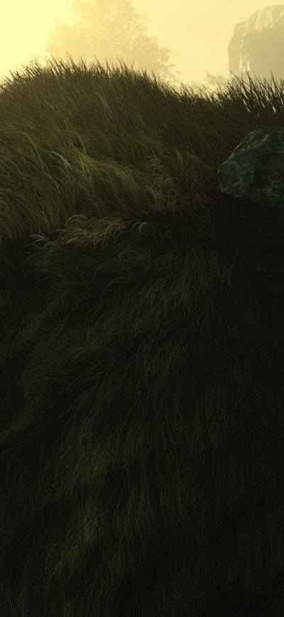 Fond d'écran Shadow Of The Colussus 4k sur iPhone