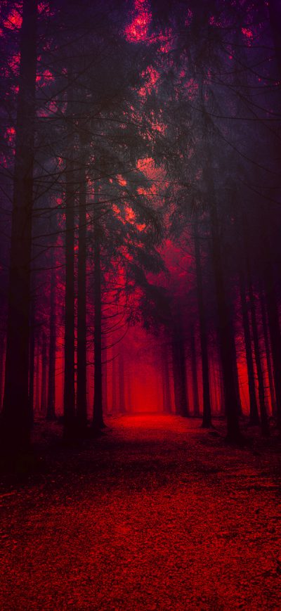 Fond d'écran iPhone Artistic Red Forest