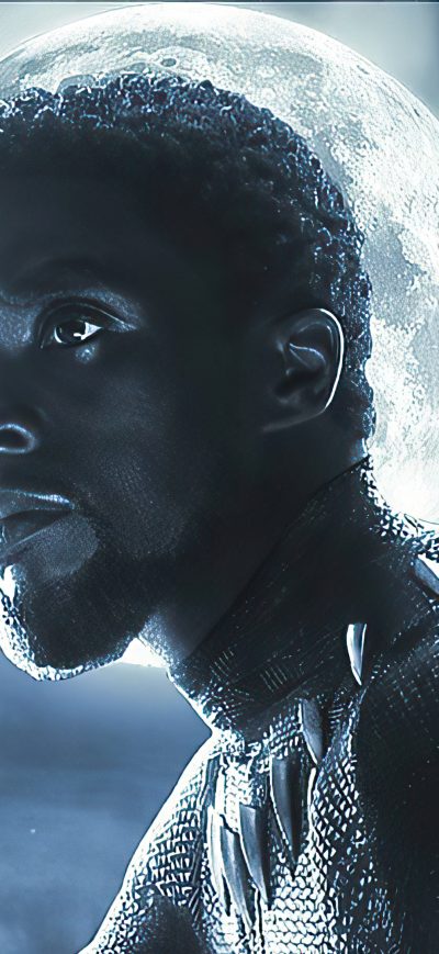 Fond d'écran iPhone 4k Black Panther King