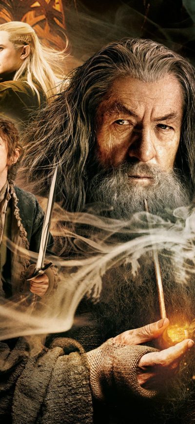 Fond d'écran iPhone The Hobbit The Desolation Of Smaug