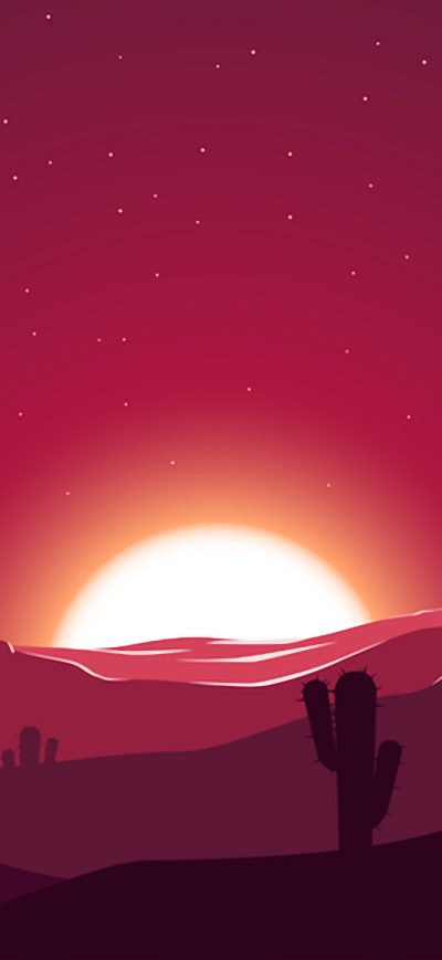 Fond d'écran iPhone Cactus Sunset Desert Stars Landscape Silhouette