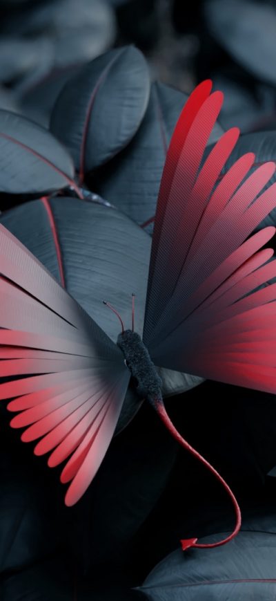 Fond d'écran iPhone Butterfly Leaves Artwork