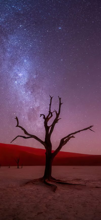 Fond d'écran iPhone Evening Glory At Deadvlei