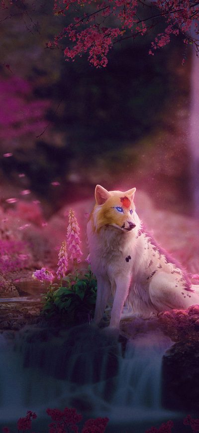 Fond d'écran iPhone Fox Colorful Art