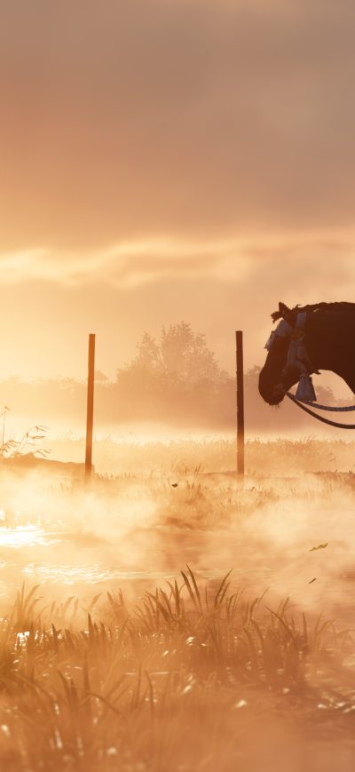 Fond d'écran iPhone Ghost Of Tsushima Ps5