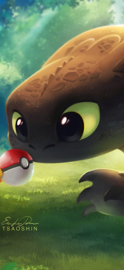 Fond d'écran iPhone Pikachu With Pokeball Toothless