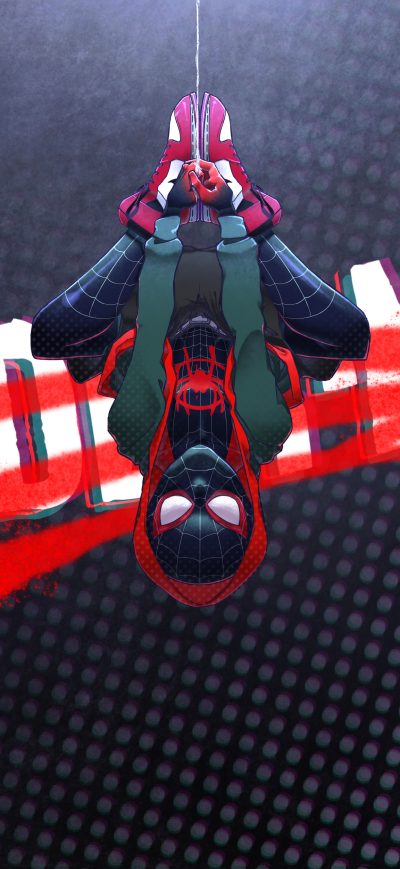 Fond d'écran iPhone Spider Man Up Side Down