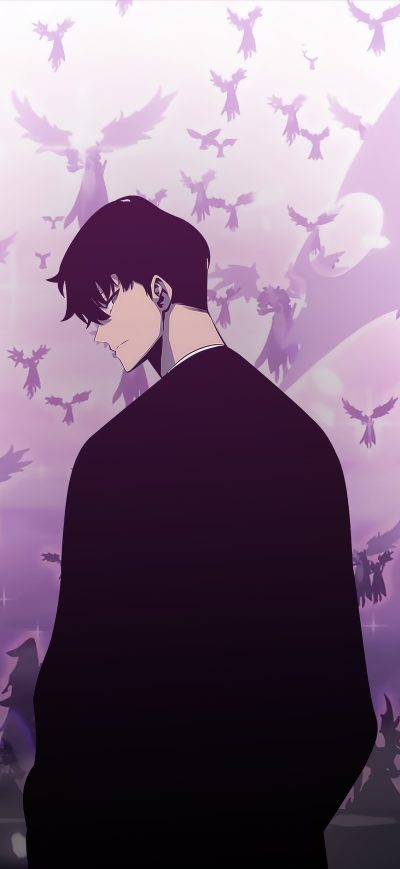 Fond d'écran iPhone Sung Jin Woo Solo Leveling
