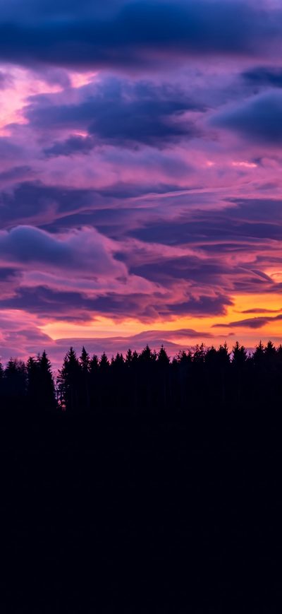 Fond d'écran iPhone Sunset Clouds Forest 4k