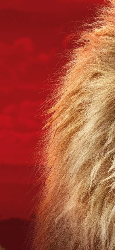 Fond d'écran iPhone The Lion King 2019 5k