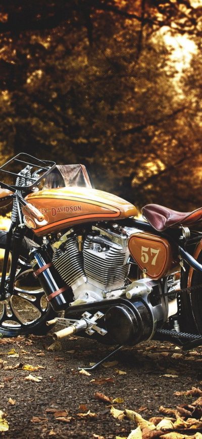Fond d'écran iPhone Harley Davidson Motorcycle