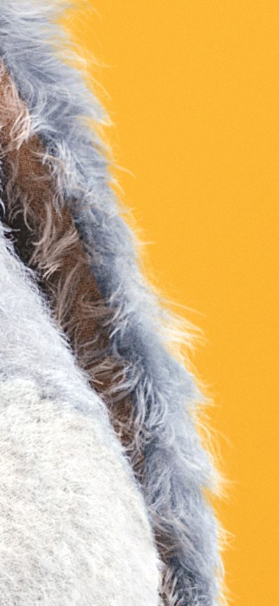 Fond d'écran iPhone Eeyore In Christopher Robin 2018 Movie 5k