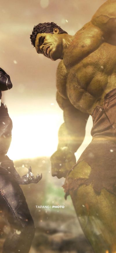 Fond d'écran iPhone Hulk Vs Black Panther