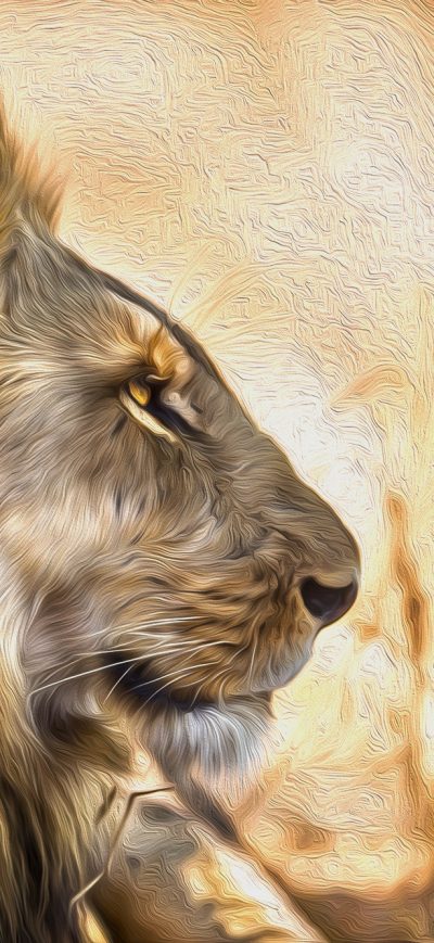 Fond d'écran iPhone Lion Art
