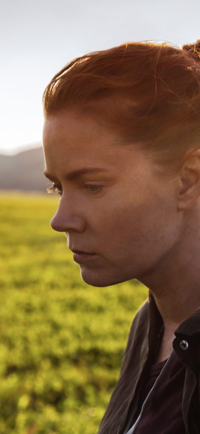 Fond d'écran iPhone Amy Adams In Arrival Movie