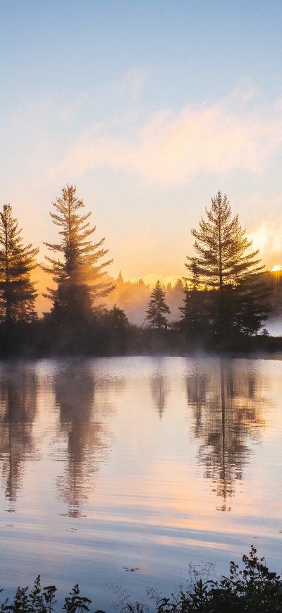 Fond d'écran iPhone Lake Reflection Morning Mist Trees Nature Hd 4k