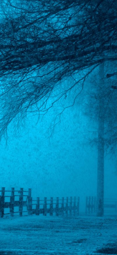 Fond d'écran Winter Storm sur iPhone