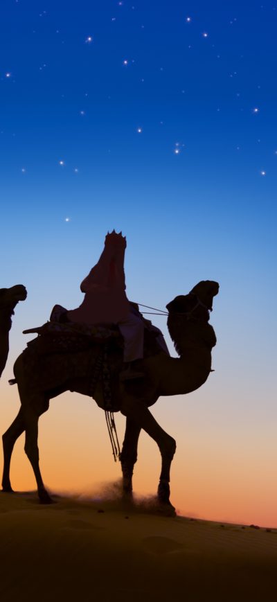 Fond d'écran iPhone Desert Camels Evening Silhouette