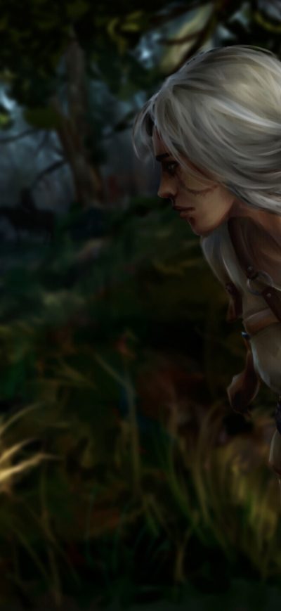 Fond d'écran iPhone The Witcher 3 Wild Hunt Cirilla