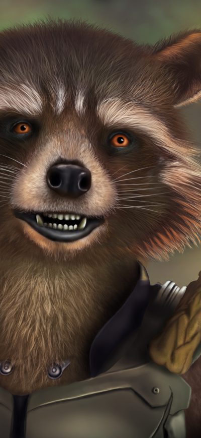 Fond d'écran iPhone Rocket And Baby Groot Artwork