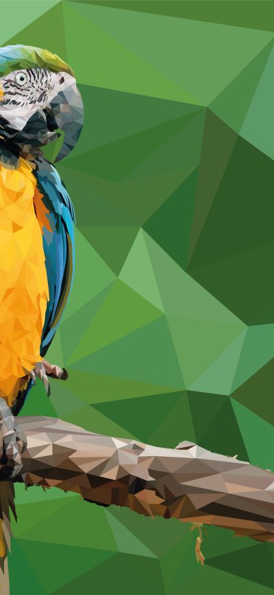 Fond d'écran iPhone Macaw Low Poly Digital Art