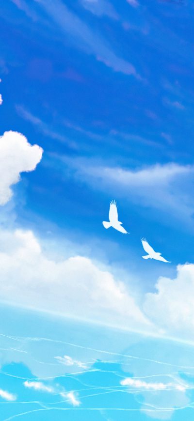Fond d'écran iPhone Birds In Blue Horizon 4k
