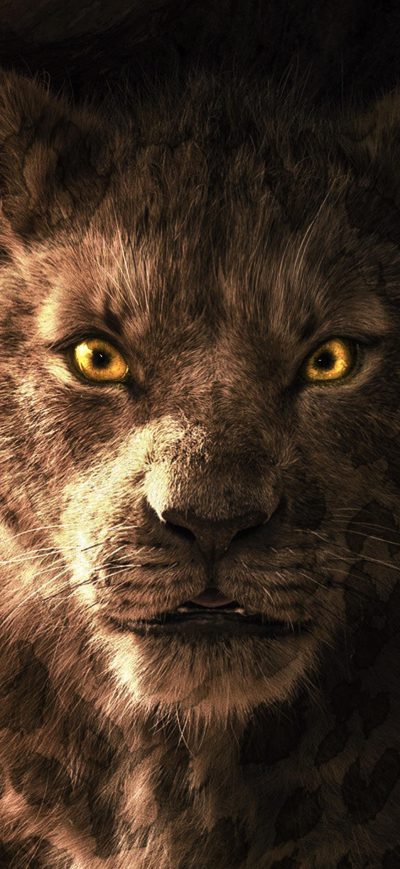 Fond d'écran iPhone The Lion King Simba