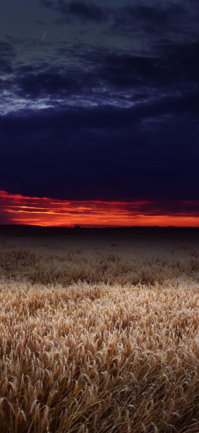 Fond d'écran iPhone Dark Field Covered By Clouds Sunset 5k
