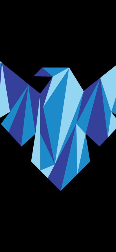 Fond d'écran iPhone Nightwing Logo