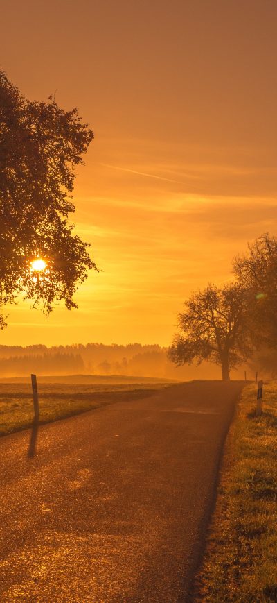 Fond d'écran iPhone Scenic Road Sunrise Sunset Trees Meadow
