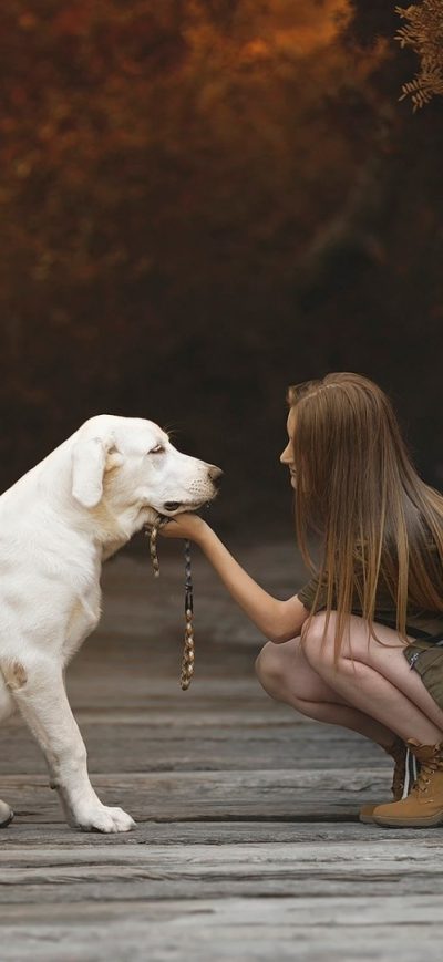 Fond d'écran iPhone Labrador Retriever With Cute Girl