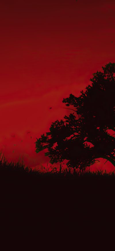 Fond d'écran iPhone Red Dead Redemption II