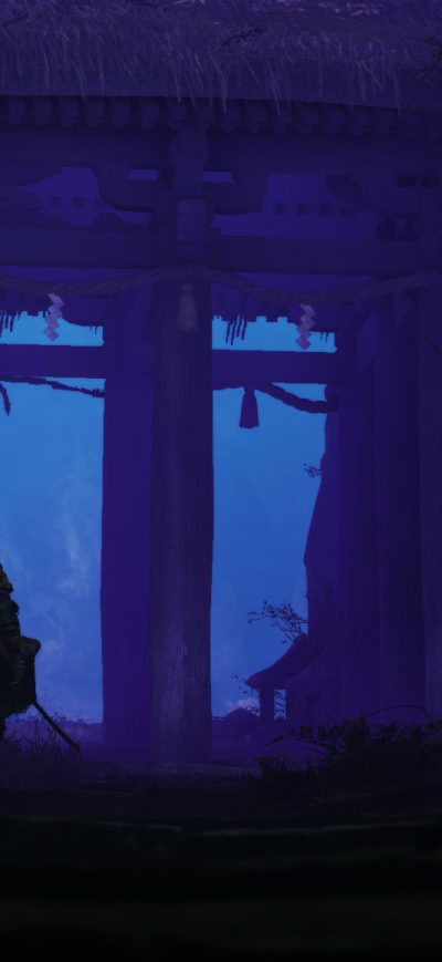 Fond d'écran iPhone 2019 Sekiro Shadows Die Twice Game