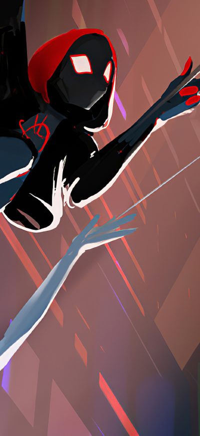 Fond d'écran iPhone Spider Man And Spider Gwen