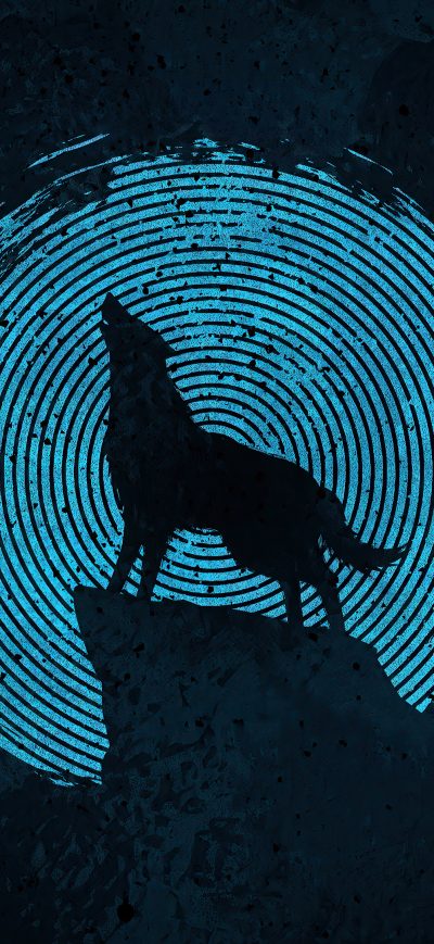 Fond d'écran iPhone Wolf Make It 4k