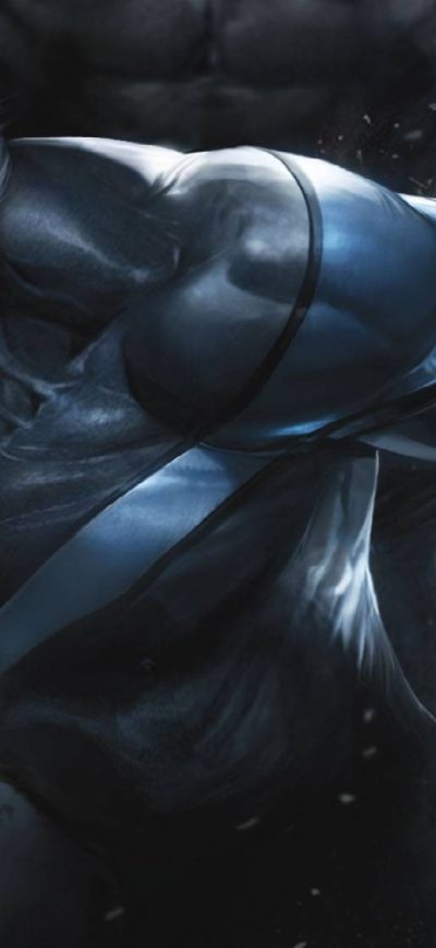 Fond d'écran iPhone Nightwing Art
