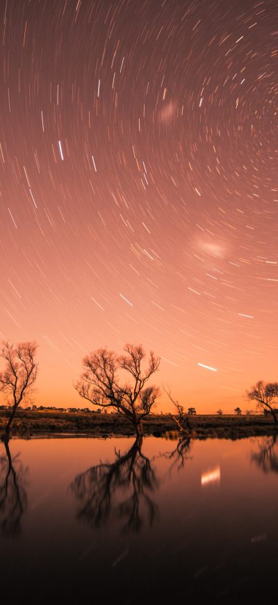 Fond d'écran iPhone Startrail Longexposure Trees Cool