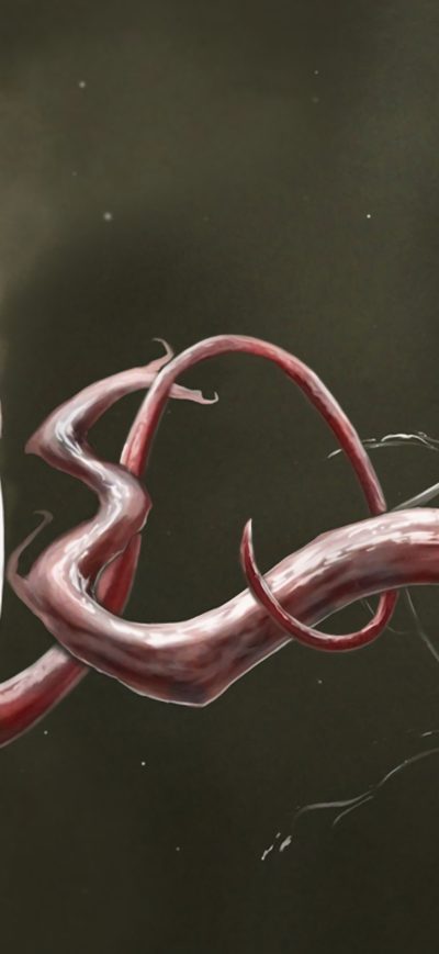 Fond d'écran iPhone Carnage And Venom Artwork