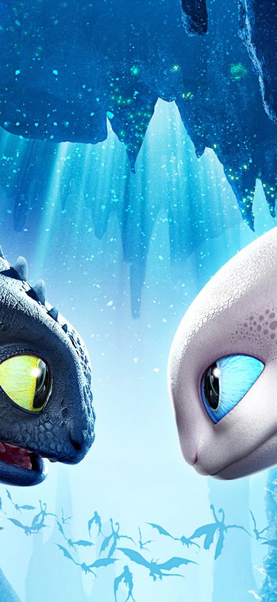 Fond d'écran iPhone Toothless With His Girlfirend Night Fury 4k