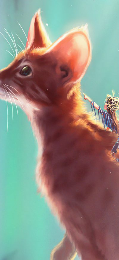 Fond d'écran Cat Rider 4k sur iPhone