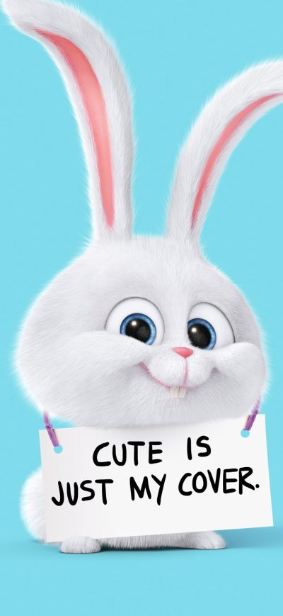 Fond d'écran iPhone The Secret Life Of Pets Rabbit