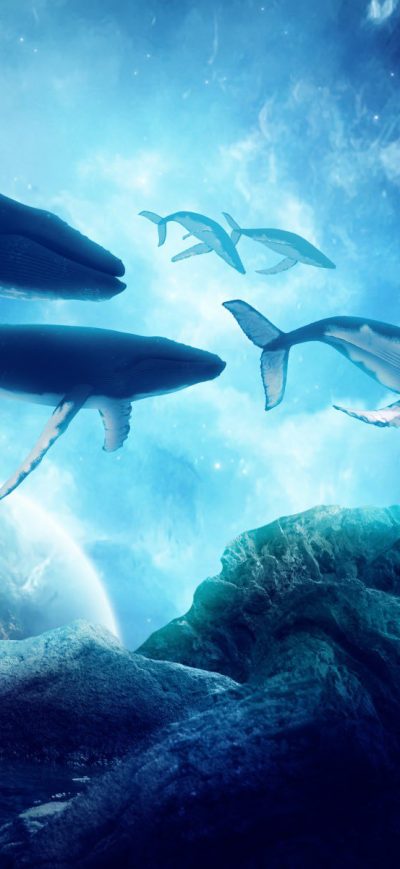 Fond d'écran iPhone Whales Dream