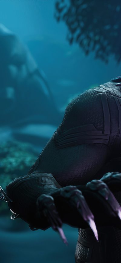 Fond d'écran iPhone Black Panther Fortnite