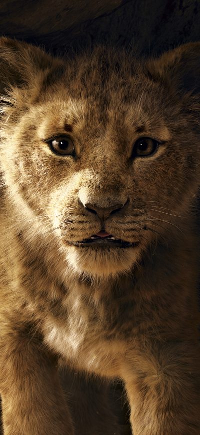 Fond d'écran iPhone The Lion King 2019 8k