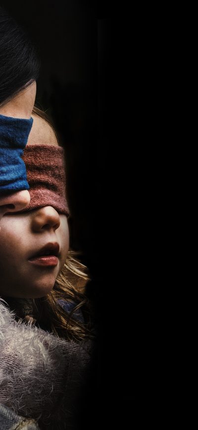 Fond d'écran iPhone Bird Box 2018