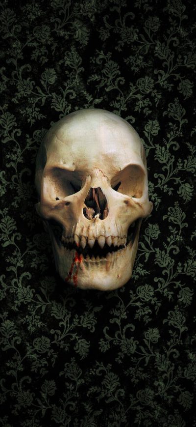 Fond d'écran iPhone Skull Vampire