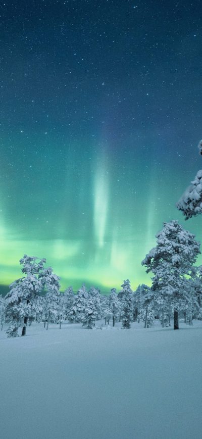 Fond d'écran iPhone Snow Trees Covered Aurora 4k