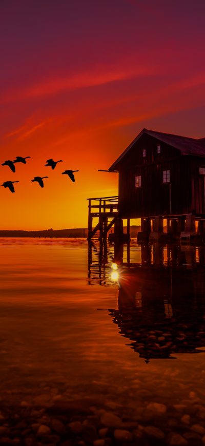 Fond d'écran iPhone Lake House On Pier Birds Flying Sunset Scenery